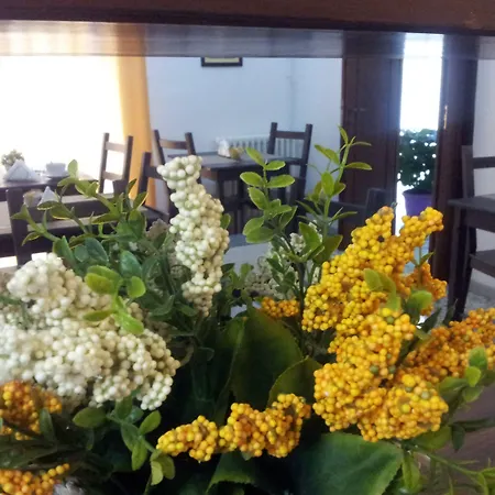 Oda ve Kahvaltı Domus